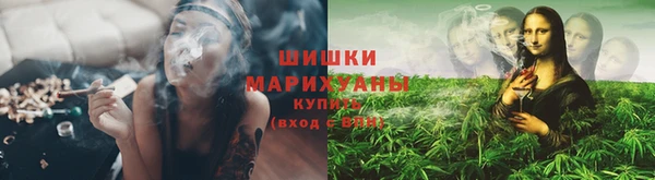 круглые Ельня